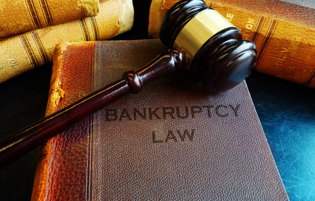 Understanding the Automatic Stay in Bankruptcy Proceedings